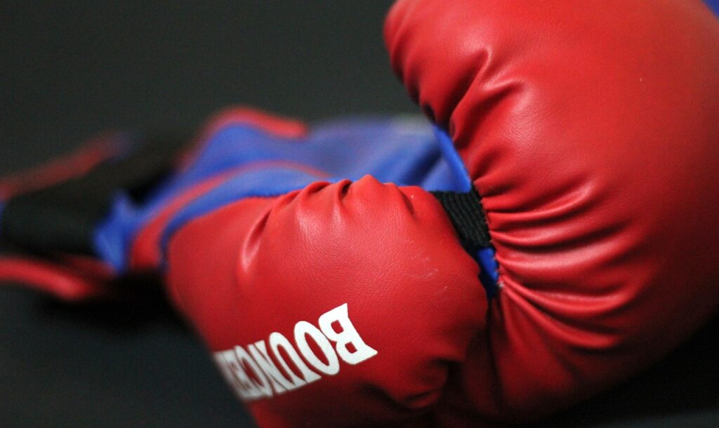 Hippopix - boxing gloves under creative commons licence https://creativecommons.org/publicdomain/zero/1.0/