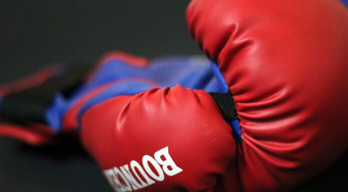 Hippopix - boxing gloves under creative commons licence https://creativecommons.org/publicdomain/zero/1.0/