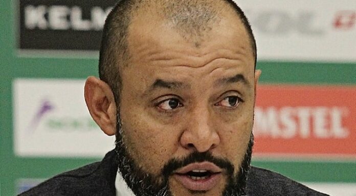Nuno Espirito Santo manager Spurs Wolves