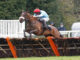 Merseyside jockey Lewis Stones in action over hurdles - pic with permission to use from Lewis Stones