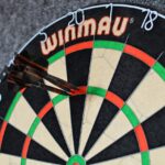 Dartboard 180