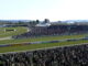 cheltenham festival pic by Carine06 on creative commons licence