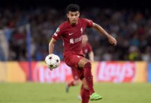 Liverpool and Colombia player Luis Diaz (Alamy - Free to Use)