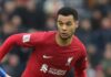 Liverpool FC player Cody Gakpo - Alamy (FREE TO USE)