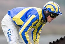 Jockey Lorcan Williams - pic by Alamy Images, under agreed licence