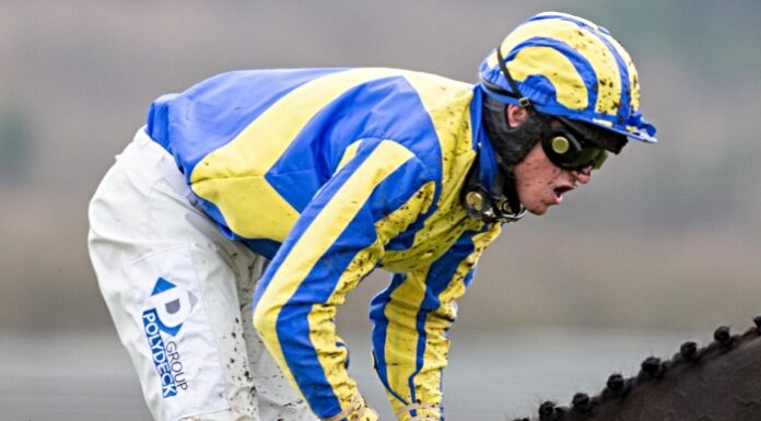 Jockey Lorcan Williams - pic by Alamy Images, under agreed licence