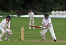 Mersey Rose Cricket Club photo, courtesy of Andi Page