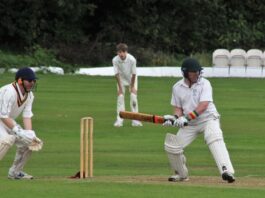 Mersey Rose Cricket Club photo, courtesy of Andi Page