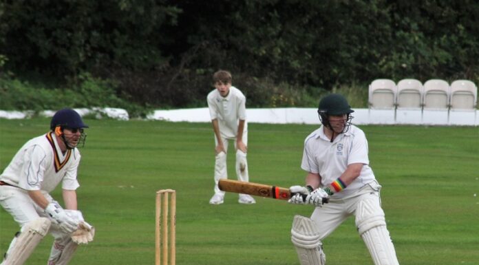 Mersey Rose Cricket Club photo, courtesy of Andi Page