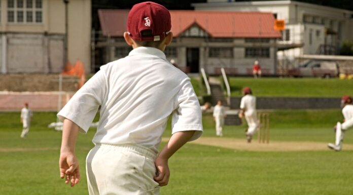 children playing cricket - library image for display purposes only, under agreed Alamy licence
