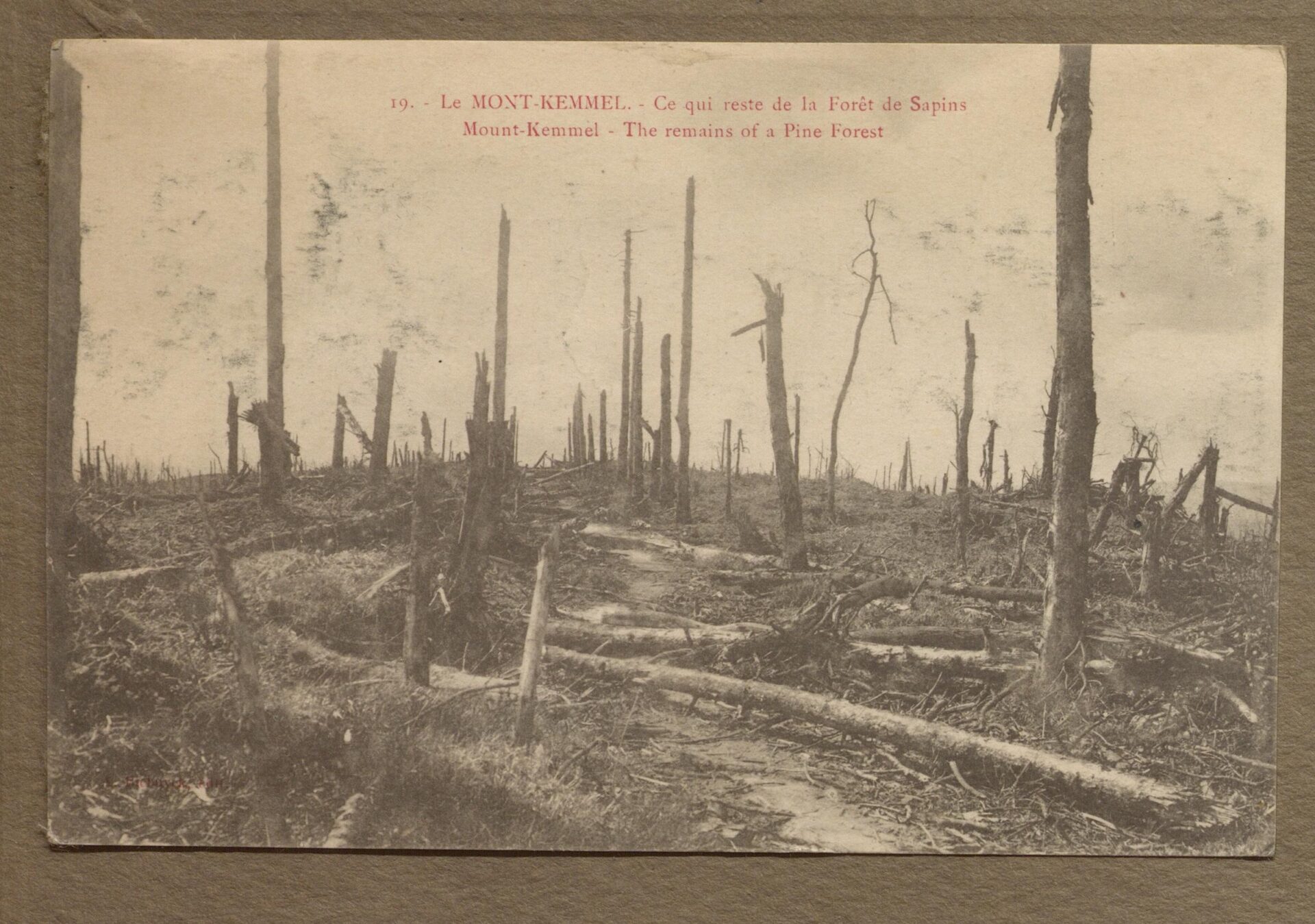 An image showing the remains of a pine forest after heavy shelling during the First World War. Mount Kemmel - near to where both Kendall and Turner fell. Image under creative commons licence from Thomas Fisher Rare Book Library, University of Toronto