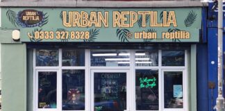 Urban Reptilia exterior- pic by Louis Parr
