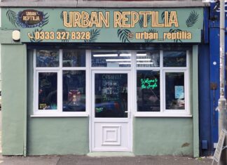 Iconic Everton-themed Cafe replaced by exotic pet shop Urban Reptilia exterior- pic by Louis Parr