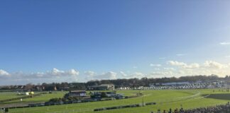 Aintree racegoers watch on during first meeting on the new season. Photo by Alex Roberts.