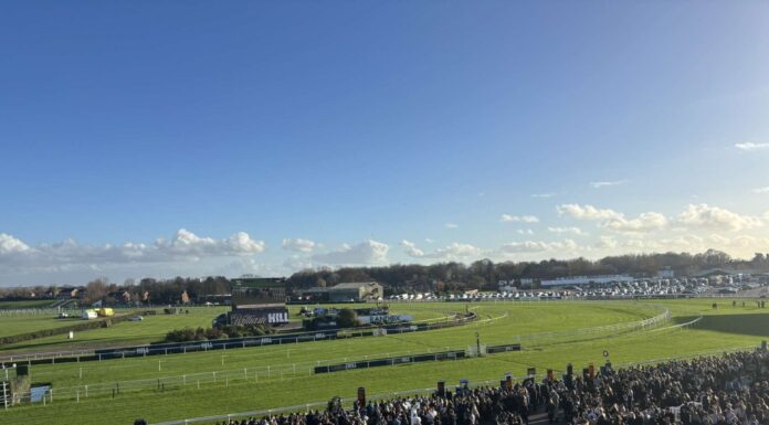 Students help boost National Hunt season at Aintree Aintree racegoers watch on during first meeting on the new season. Photo by Alex Roberts.