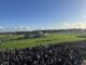 Aintree racegoers watch on during first meeting on the new season. Photo by Alex Roberts.