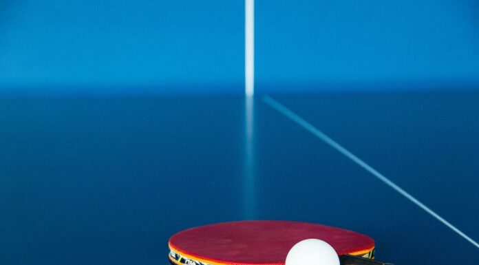 Table Tennis paddle