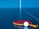 WATCH: Can Timothée Chalamet’s ‘Marty Supreme’ spark a table tennis boom? Table Tennis paddle
