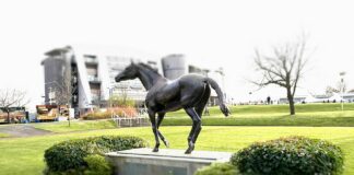 Statue of racing legend Red Rum - winner of three Grand National races. Red Rum Statue Aintree. Permission to use under the Creative Commons Attribution 2.0 Generic license.