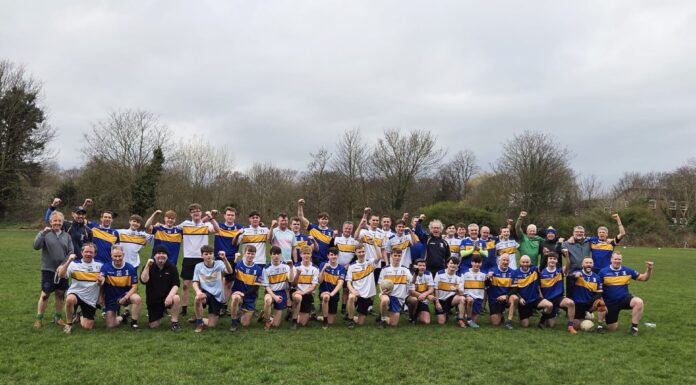 Liverpool Gaelic Football teams experiencing ‘dwindling’ participation John Mitchel's squad- from their facebook page- permission granted (Ed Cartmell)